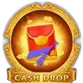 Cash Drop icon